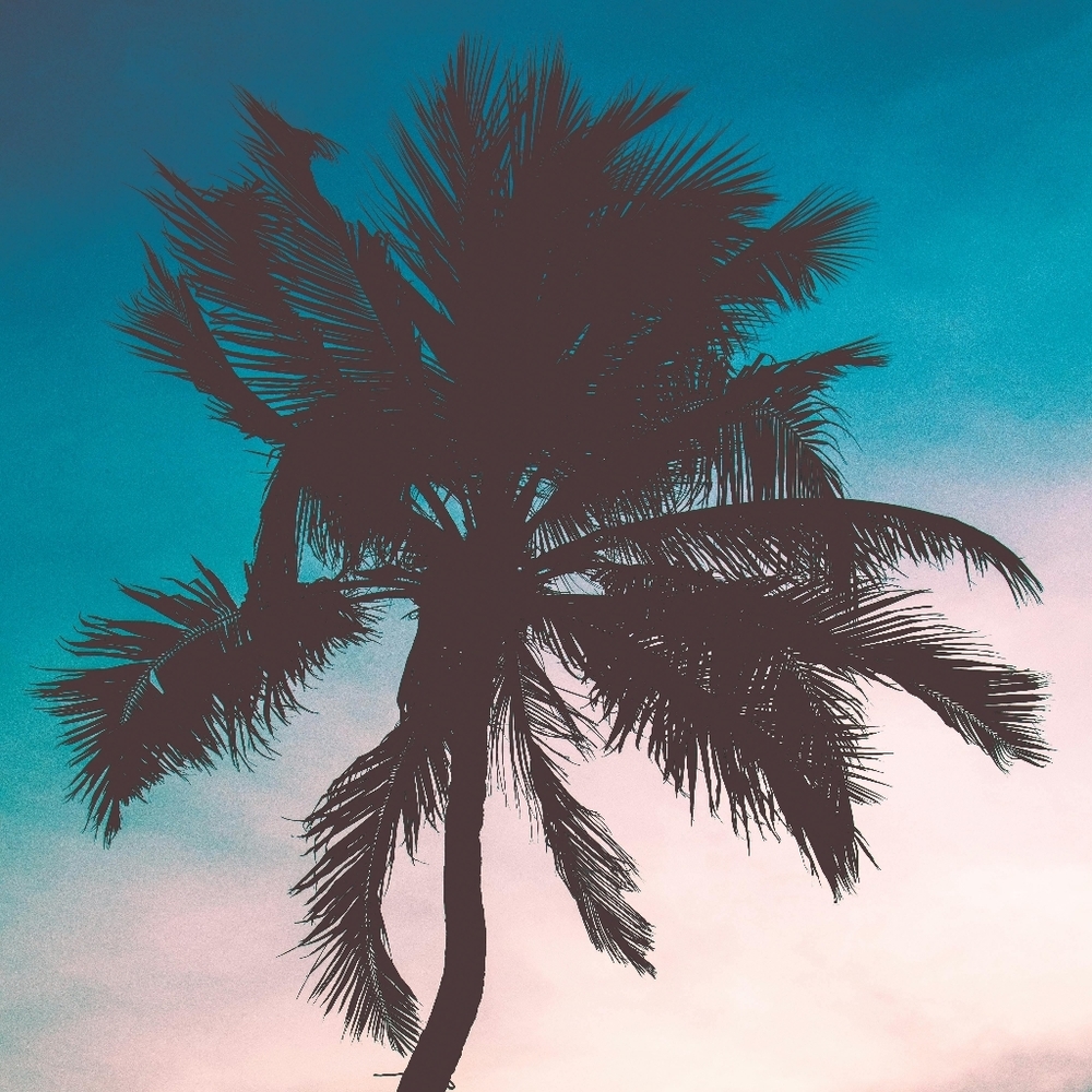 Meet your Posher, A tropical shop